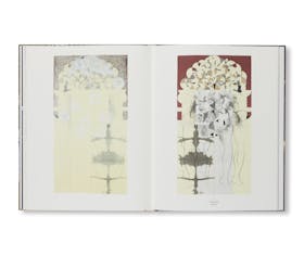 CORPLEGADOS AND PARTICLES